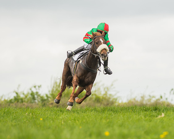 Pony Races-48