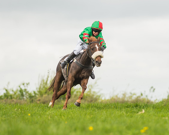Pony Races-49