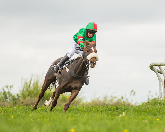 Pony Races-50