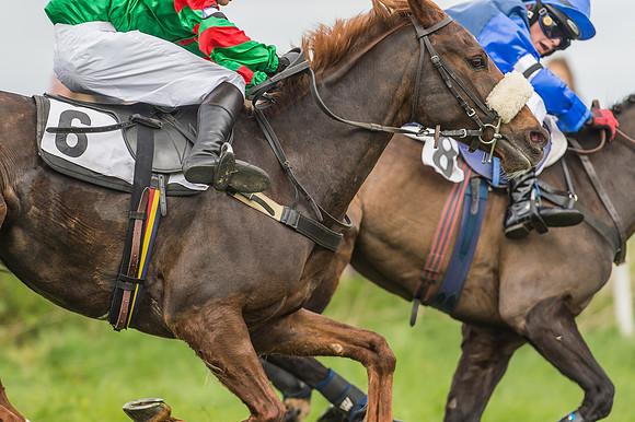 Pony Races-51