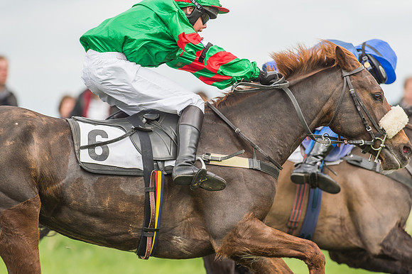 Pony Races-52