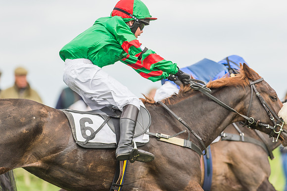 Pony Races-53