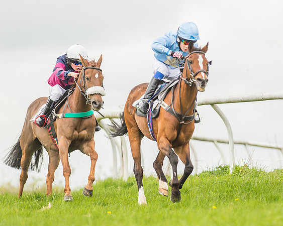Pony Races-56
