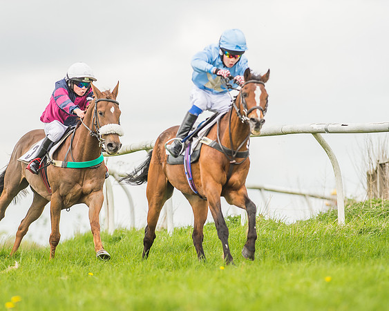 Pony Races-57