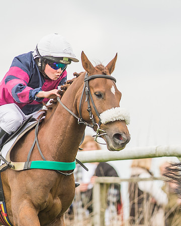 Pony Races-61
