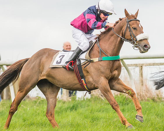 Pony Races-62