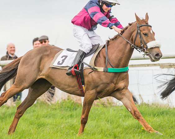 Pony Races-63