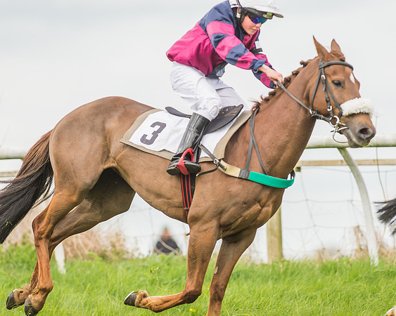 Pony Races-64
