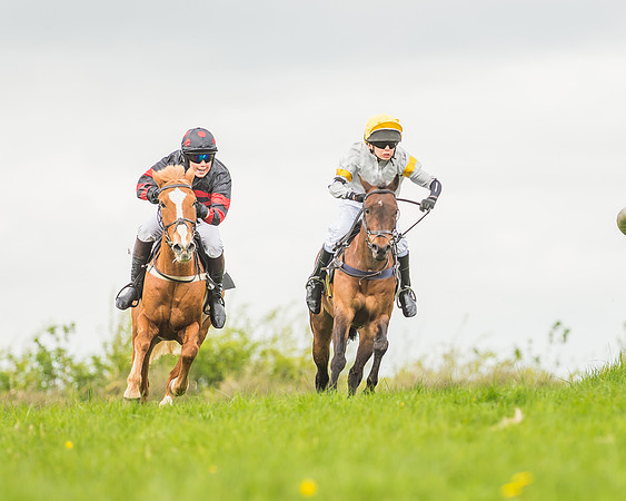 Pony Races-65