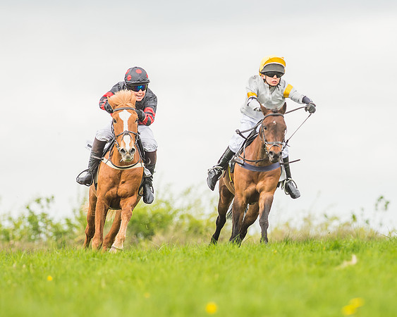 Pony Races-66