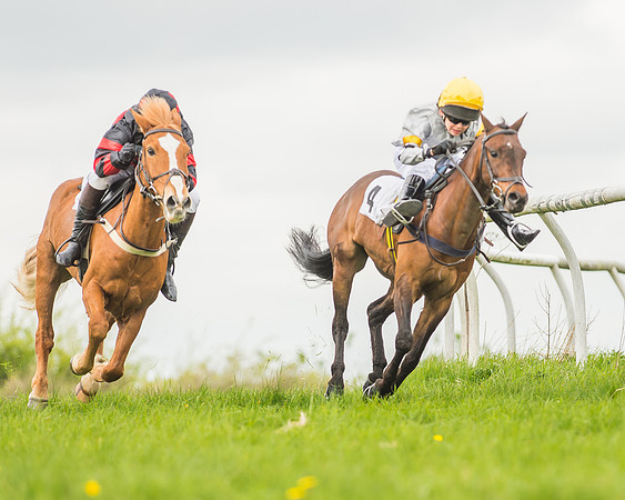 Pony Races-68