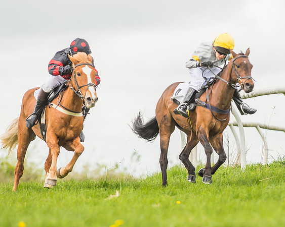 Pony Races-69