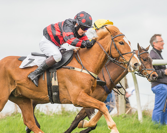 Pony Races-70