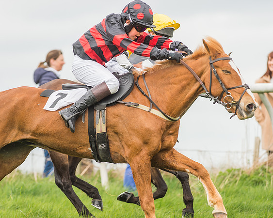 Pony Races-71