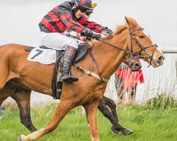 Pony Races-72