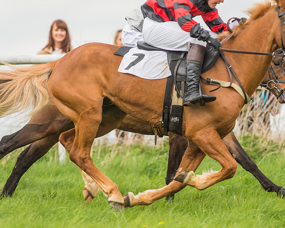Pony Races-73