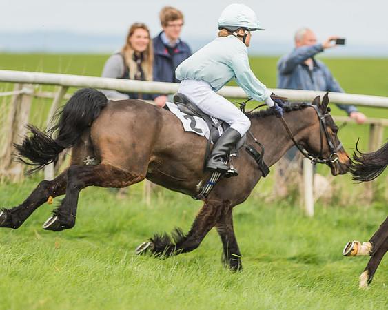 Pony Races-77