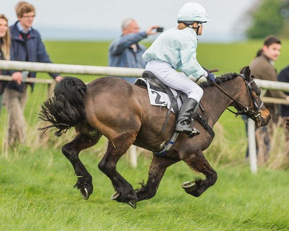 Pony Races-78