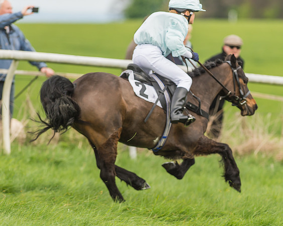 Pony Races-79
