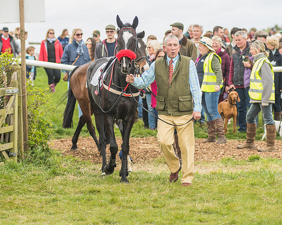 Pony Races-80