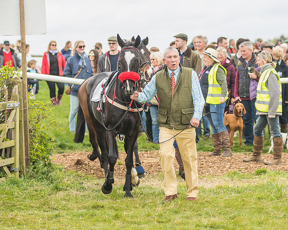 Pony Races-81