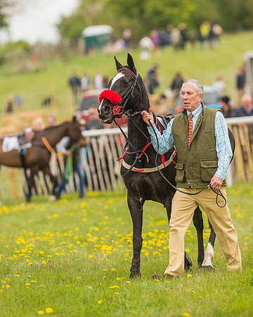Pony Races-93