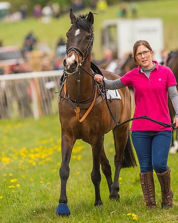 Pony Races-95