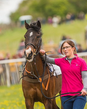 Pony Races-96