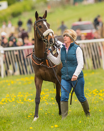 Pony Races-97