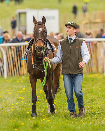 Pony Races-99