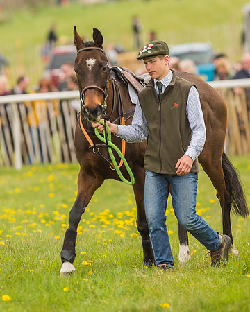 Pony Races-100