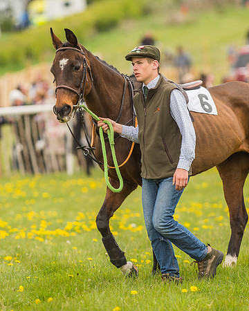 Pony Races-101