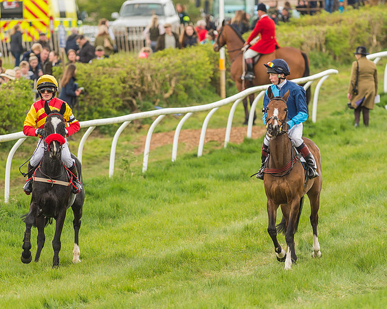 Pony Races-104