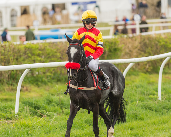 Pony Races-107