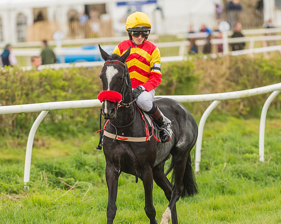 Pony Races-108