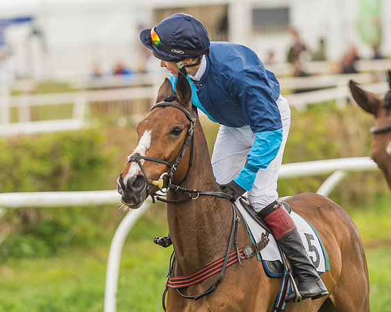 Pony Races-109