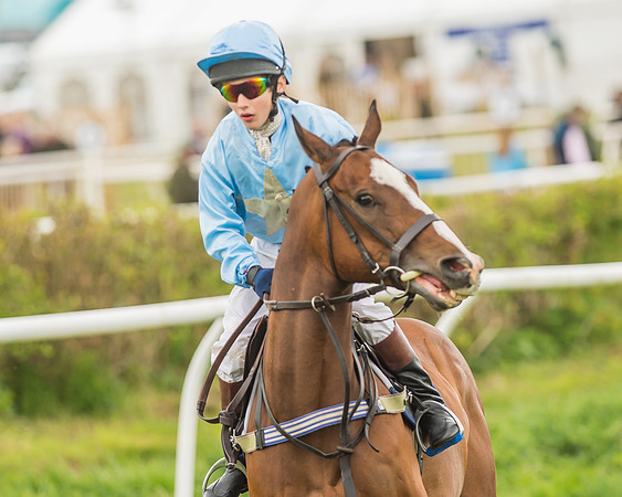 Pony Races-110