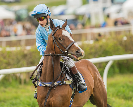 Pony Races-111