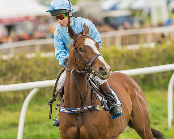 Pony Races-112