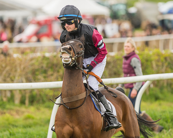 Pony Races-113