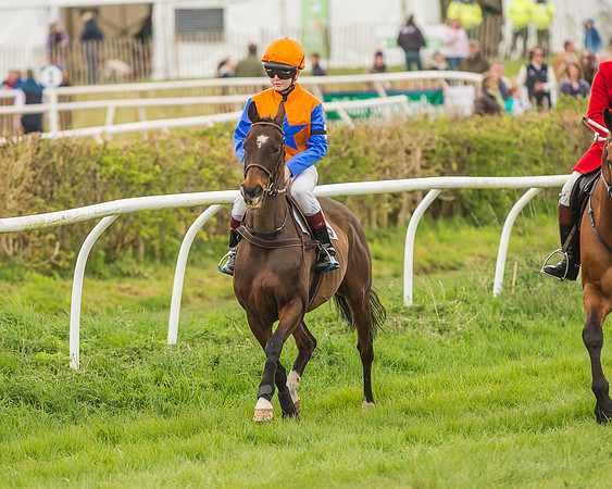 Pony Races-115
