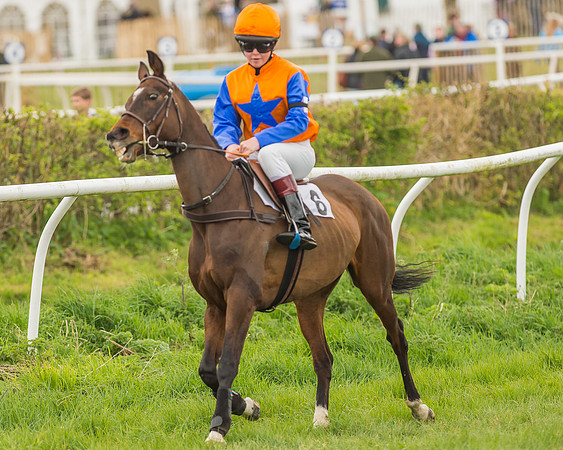 Pony Races-116