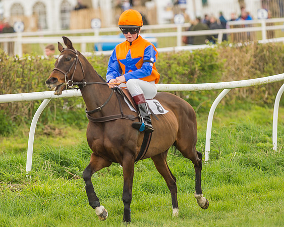 Pony Races-117