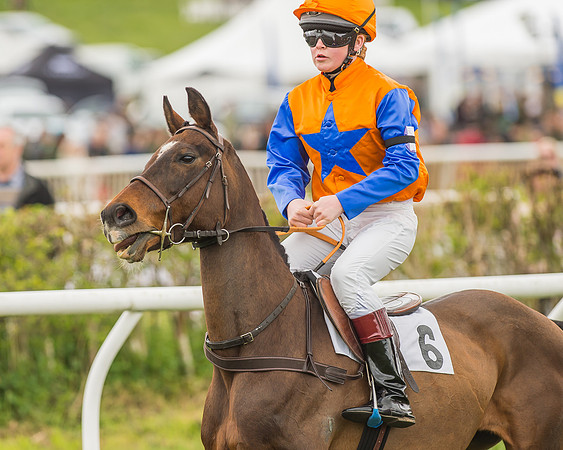Pony Races-118