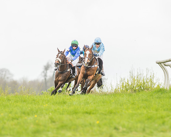 Pony Races-119