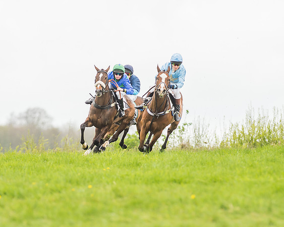 Pony Races-121