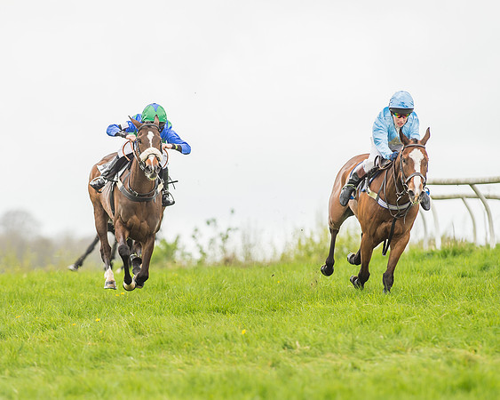 Pony Races-127
