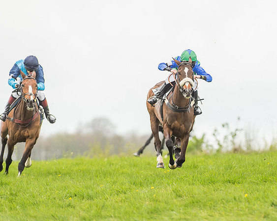 Pony Races-127-2
