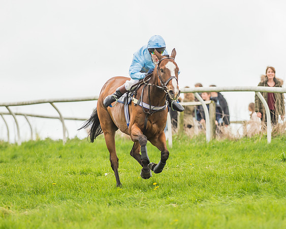 Pony Races-128