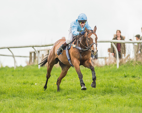 Pony Races-129